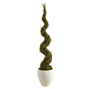 54” Mohlenbechia Spiral Artificial Tree in White Planter