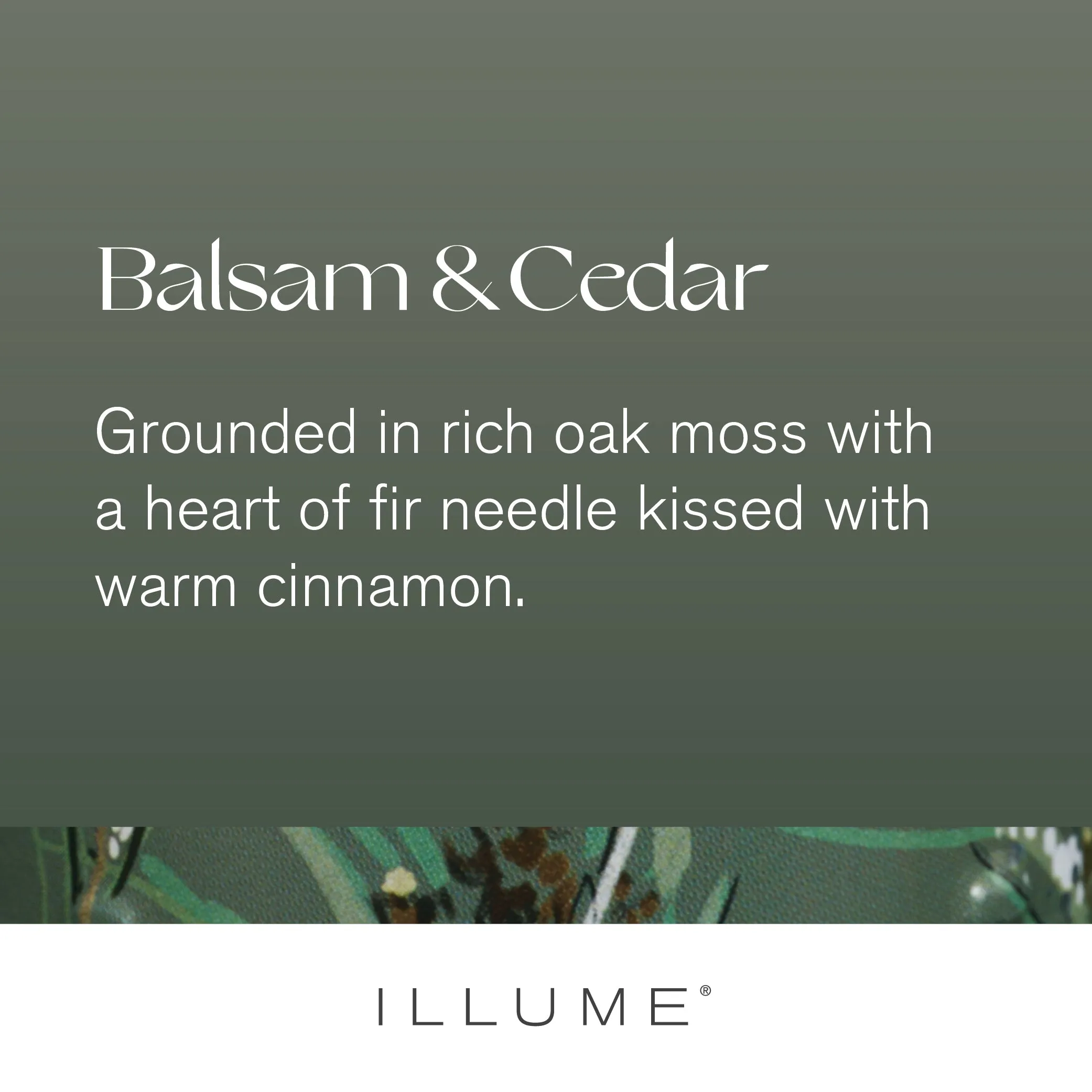 Balsam & Cedar Large High Shine Tree Candle