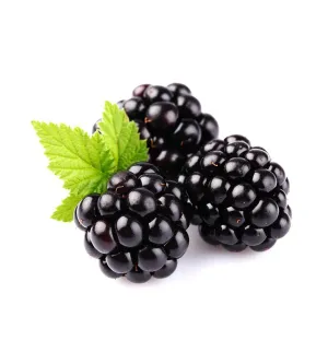 Blackberry Single Note Fragrance Oil