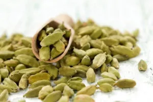 Cardamom (elettaria cardamomun)