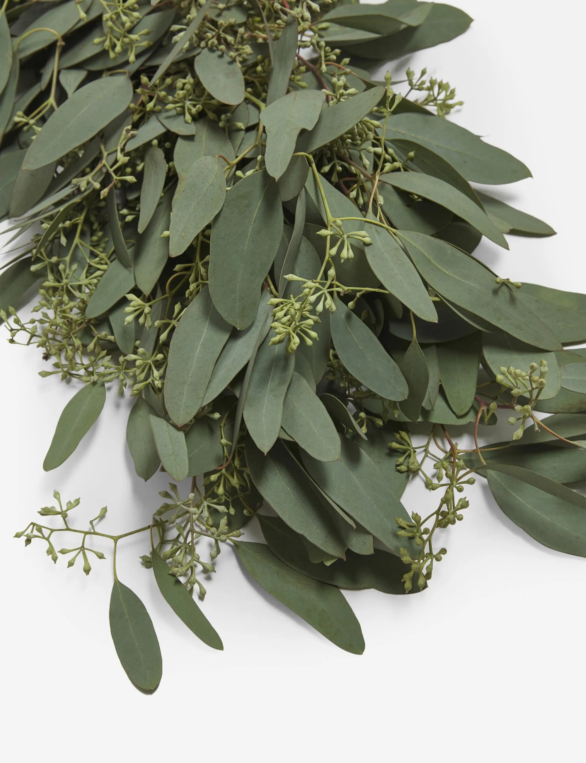 Fresh Handmade Seeded Eucalyptus Garland