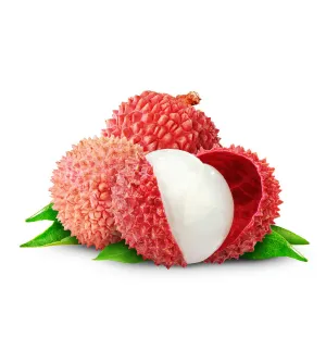 Lychee Single Note Fragrance Oil