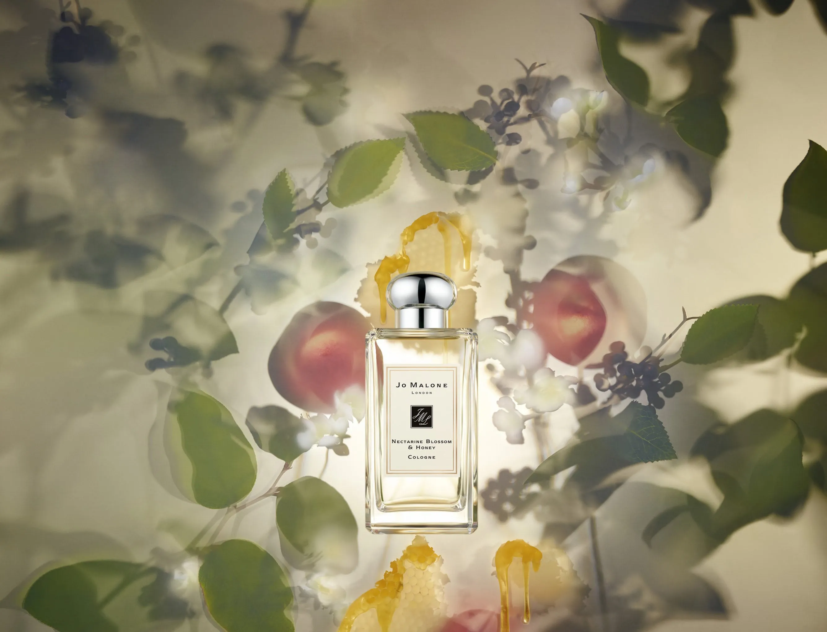 Nectarine Blossom & Honey