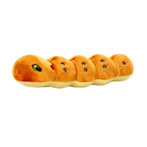 Spicy Caterpillar