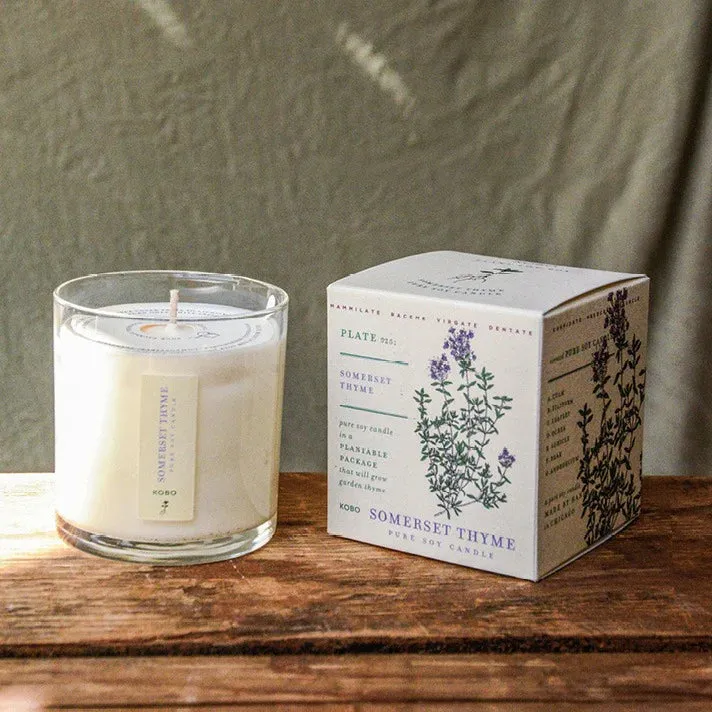Thyme Plant the Box Candle 9oz